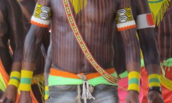 Indígenas do Fundo Kayapó