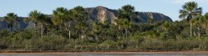 Parque-Nacional-Grande-Sertão-Veredas-apoiado-pelo-acordo-bilateral-TFCA