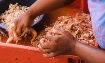 Mulheres separam o camarão em uma bacia