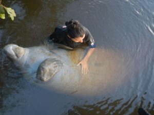 Alexandra Costa, bióloga doutora em Ecologia Aquática e bolsista GEF Mar