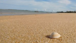 Resex Cassurubá, apoiada pelo GEF Mar
