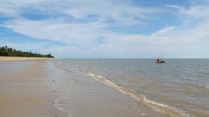 Resex Extrativista de Cassurubá apoiada pelo GEF Mar