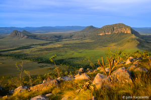 Cerrado: Parque Nacional da Chapada dos Veadeiros, em Goiás. Foto: Julio Itacaramby