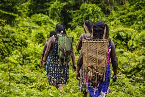 tradição e futuro na amazônia kayapó