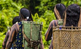 tradição e futuro da amazônia kayapó