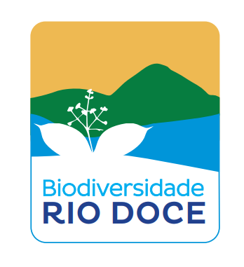 Captura de tela 2023-09-25 174444