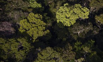 Foto: Marizilda Cruppe/FUNBIO