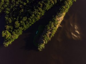 Parque Estadual do Cantão - Foto: Victor Moriyama/FUNBIO