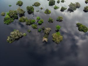 Parque Nacional Jaú - Foto: Victor Moriyama/FUNBIO