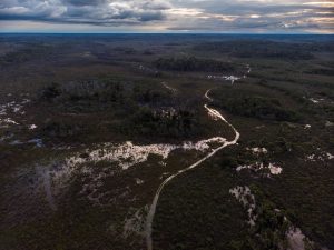 Parque Nacional do Viruá - Foto: Victor Moriyama / FUNBIO
