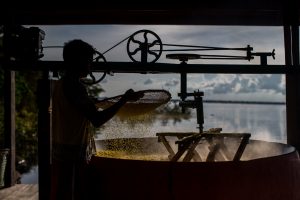 Reserva de Desenvolvimento Sustentável Amanã - Foto: Victor Moriyama/FUNBIO