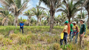 Consórcio Babaçu Livre fortalece trabalho de mulheres quebradeiras de coco no Maranhão e Tocantins. Foto: Victor Lupinacci/FUNBIO